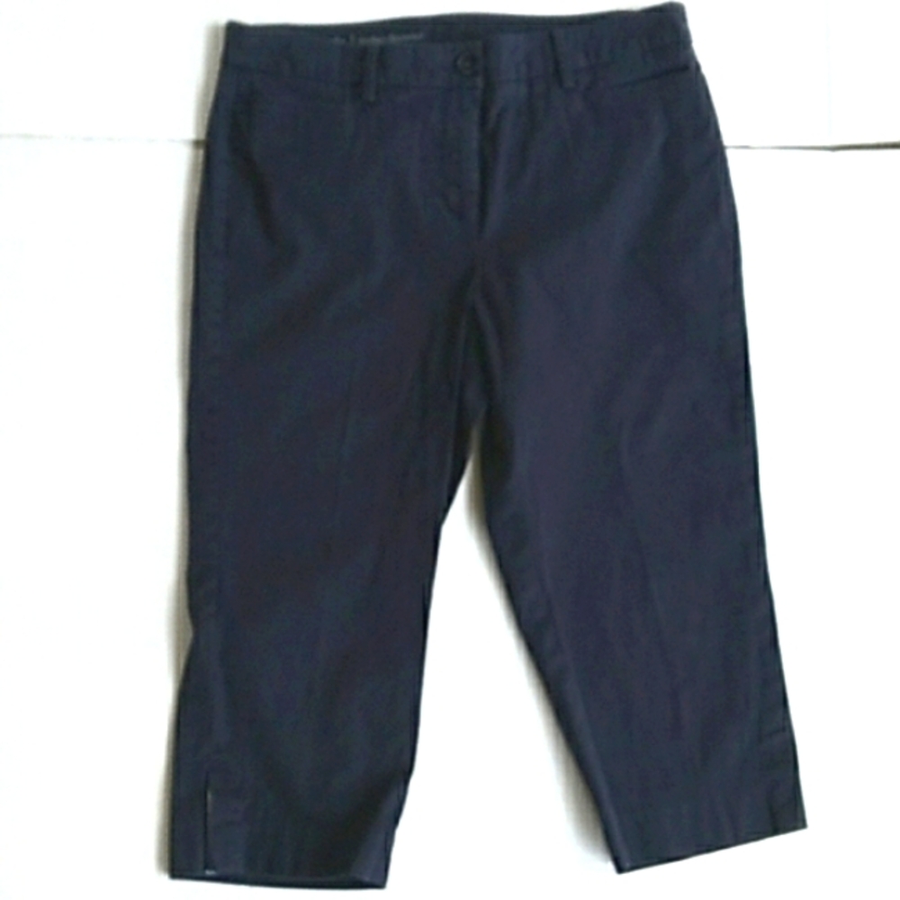 Talbots Perfect Skimmer Navy Blue Size 8P